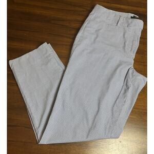 Talbots Hampshire Curvy Blue Micro Gingham Pants Wm Sz 10 Dressy Preppy Classy